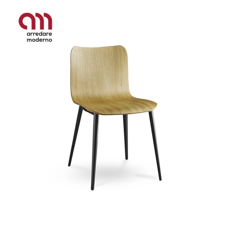 Silla Dandy.tt Colico