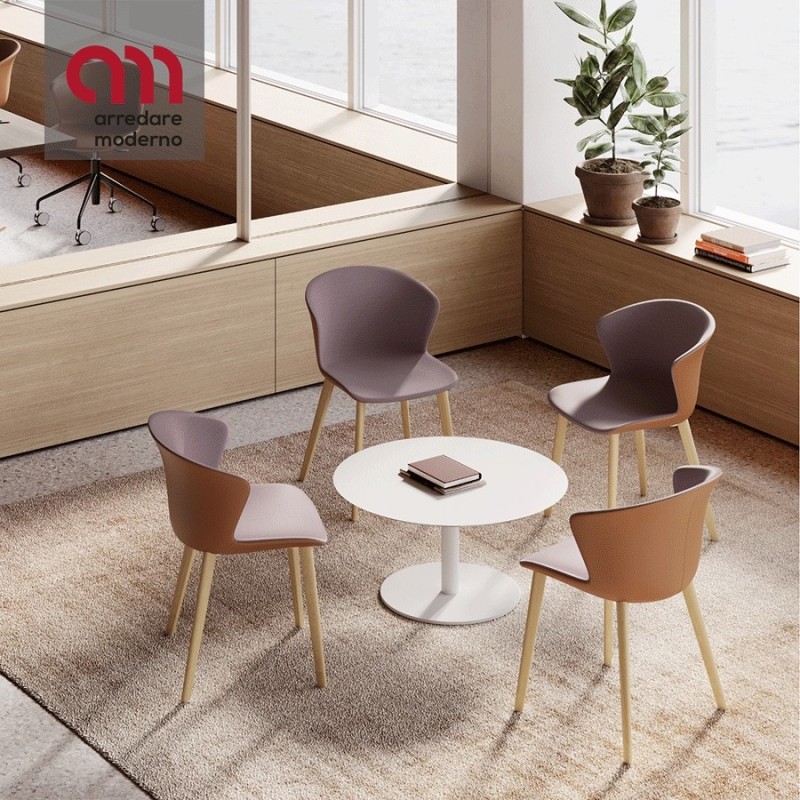 Silla Kicca Plus Kastel bicolor